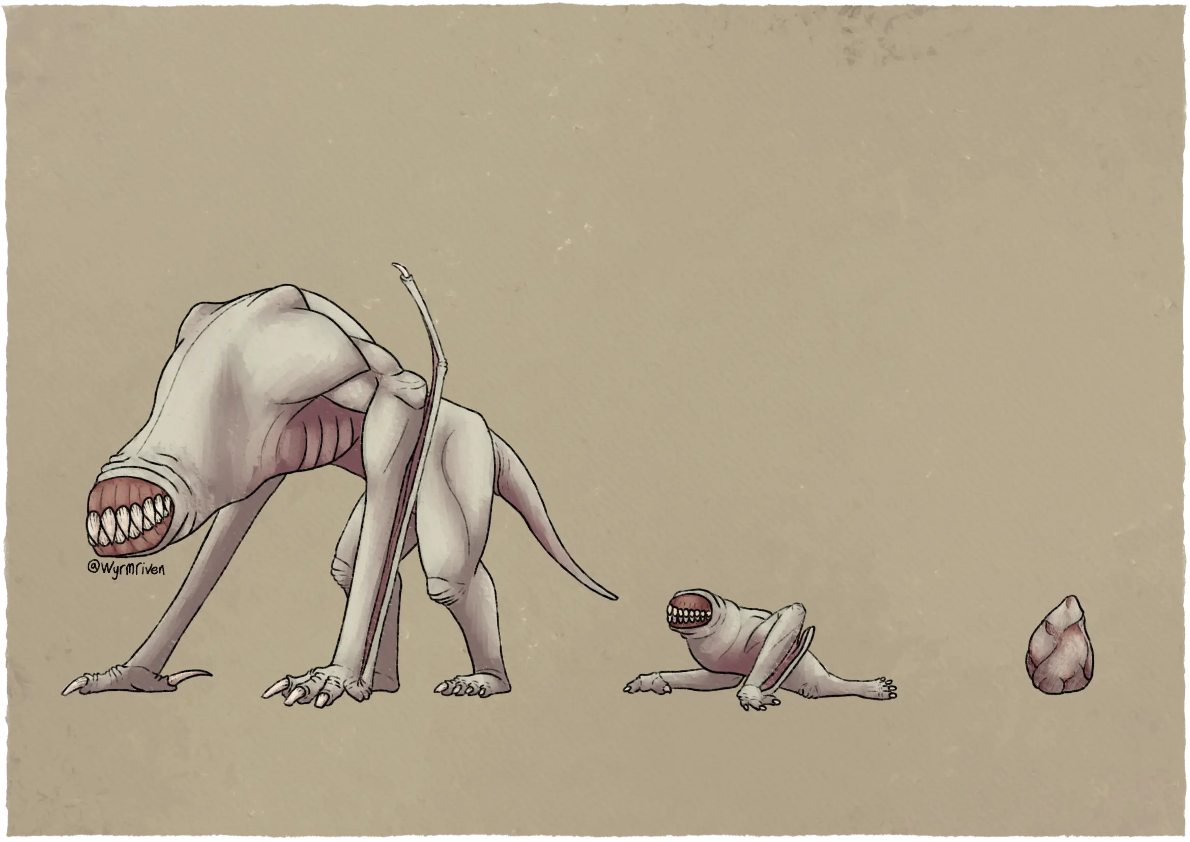 the growth stages of a quadrupedal, eyeless wyvern, on the left is the adult, in the middle is the hatchling, and on the right is the egg. The adult dragon's face is devoid of any features other than a large, lipless, sharp-toothed mouth, with wrinkled skin surrounding it. Most of its skin is a dark greyish yellow, though its underside and wing membranes are a dark, dull pink. Its arms are muscular and end in three pairs of blunt claws, as well as the wing finger and a much sharper thumb claw. Its hind legs end in four blunt claws. Its tail is short and wrinkly towards the base. The hatchling resembles a smalller, chubbier version of the adult with smaller, blunter claws and rounded teeth, it is crawling on the ground. The egg is lumpy and is a dark greyish yellow, with dark, dull pinks in its various wrinkles and crevices.