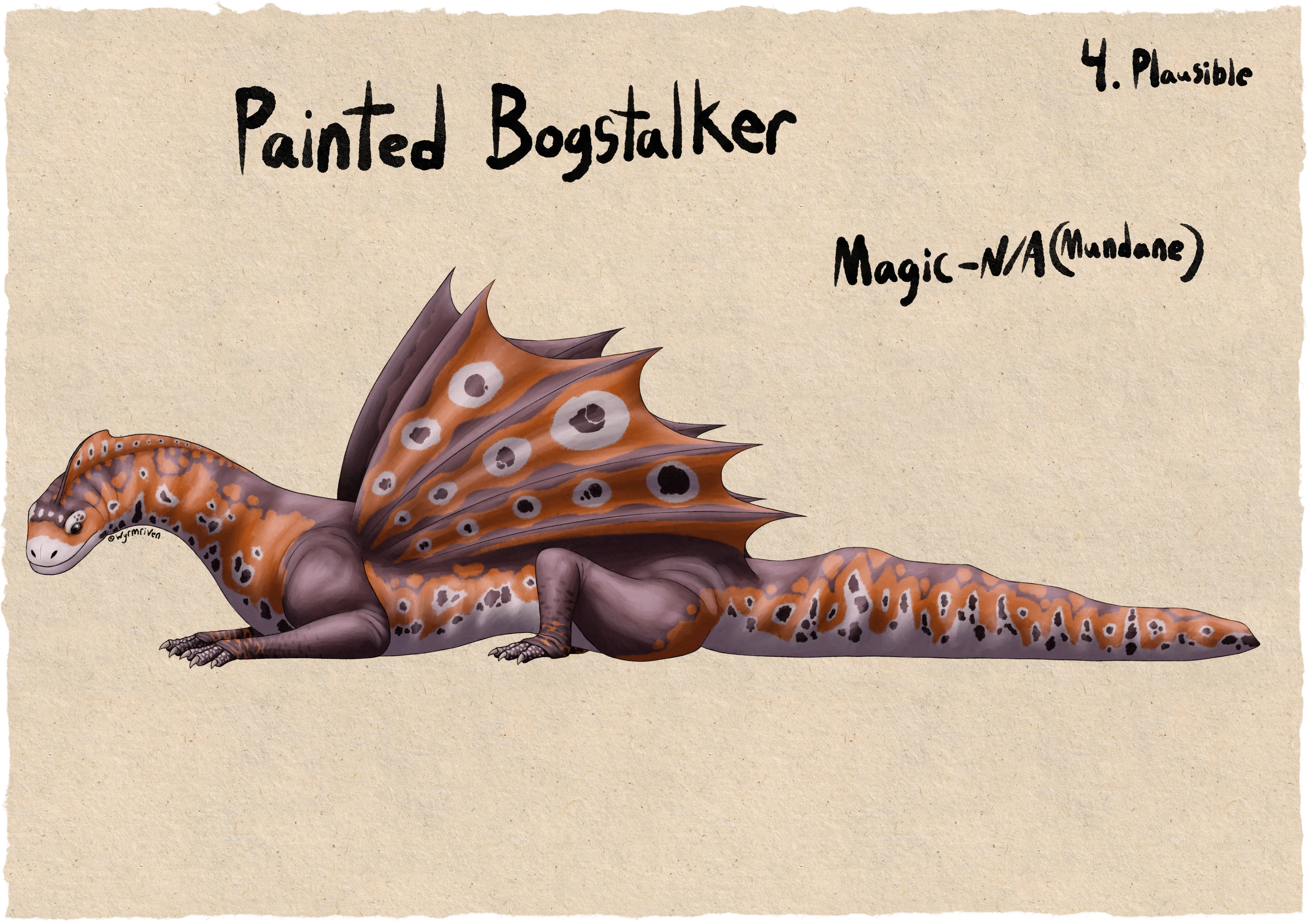 a quadrupedal, salamander-like dragon with a pair of wing-like fins on its back, it is mostly reddish-brown in coloration, but its underside and eyespots are white, its sides, neck fin, and inner wing membranes are orange, and it has dark brown spots scattered across the white parts of its skin. Its neck is somewhat long and its head is round, its eyes are large and dark. Each of its legs end in three short claws, the toes are dark brown with white spots. Its tail is tall and thin, reminiscent of that of an aquatic salamander. Some handwritten text is seen above it, directly above the dragon is 'Painted Bogstalker', the upper right corner says '4. Plausible', and written above its tail is 'Magic - N/A (Mundane)'.