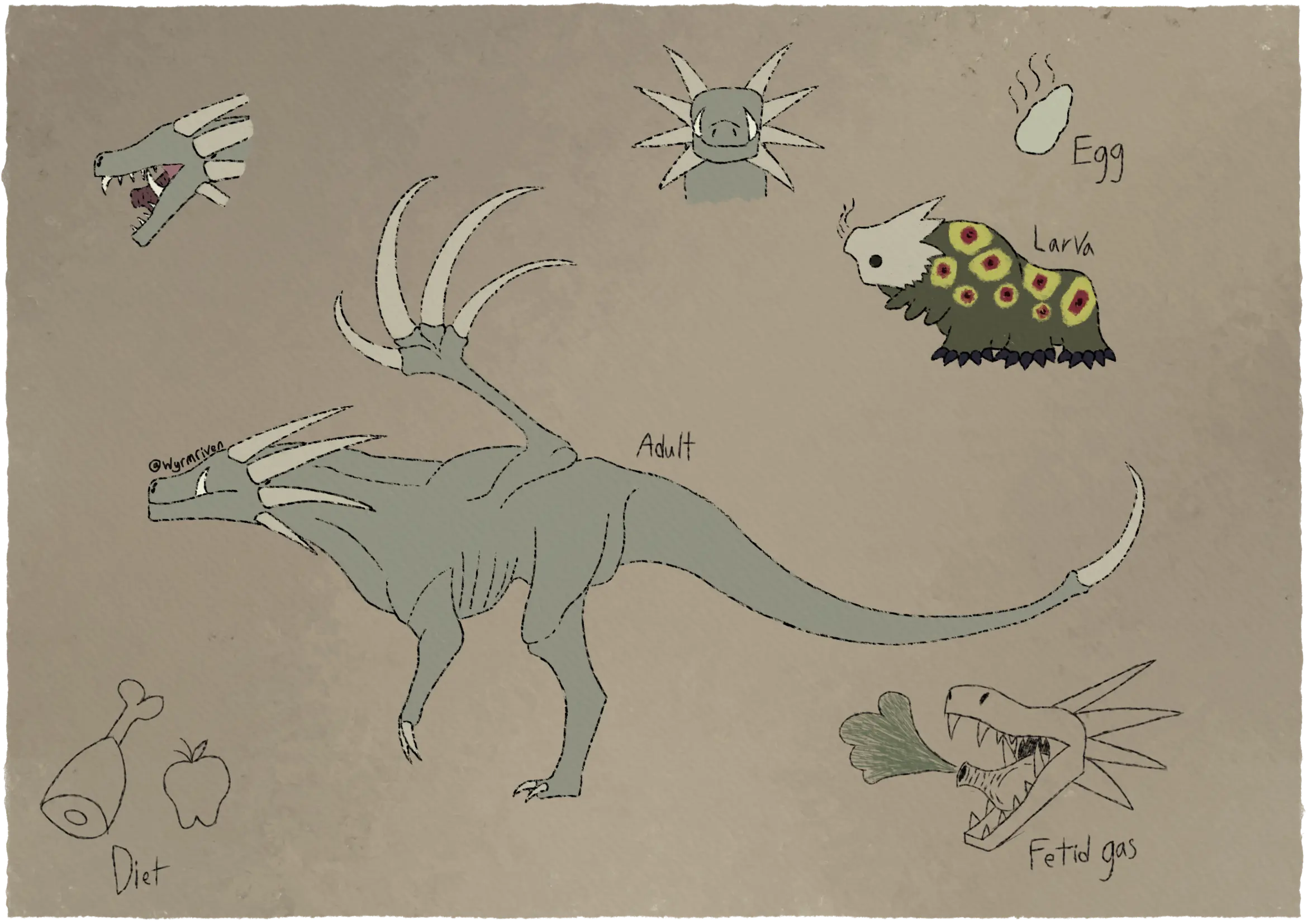 a sheet depicting a bipedal, six-limbed dragon and its growth stages, it is a dull greyish yellow color. The adult dragon is gaunt and eyeless, it has two tusks emerging from its lower jaw and four pairs of horns on its head. Its posture is horizontal like a theropod dinosaur, it also has a deep chest. Only two claws are visible on its arms and legs, and its wings haven been adapted into claws and no longer have a membrane. Its tail is long and ends in a sharp stinger. Unlike the adult dragon, the larva has a pair of black eyes on its off-white facial shield, at the end of its face is a blunt horn with stink lines coming off from it. Its body is very vibrant compared to the adult, being olive green with colorful eyespots. The outer part of the eyespots is yellow, the inner part is red with a black spot in the center. It has three pairs of nubby legs that are held off the ground, and three more pairs on the ground, these walking legs are circled by thick dark claws. The egg is off-white, lumpy, and has stink lines coming off from it. In the upper left corner is a side profile of the dragon's head with its mouth open, in place of a tongue, it has a sac with a nozzle at the tip. To the right of the side profile is a front view of the dragon's head. In the lower right corner is a sketch of the dragon doing its breath attack, spewing a dark green gas from the aformentioned sac in its mouth, it is labeled as 'fetid gas'. On the lower right of the image are two more uncolored sketches, they are of a cartoon hunk of meat and an apple, they are labeled as 'Diet'.