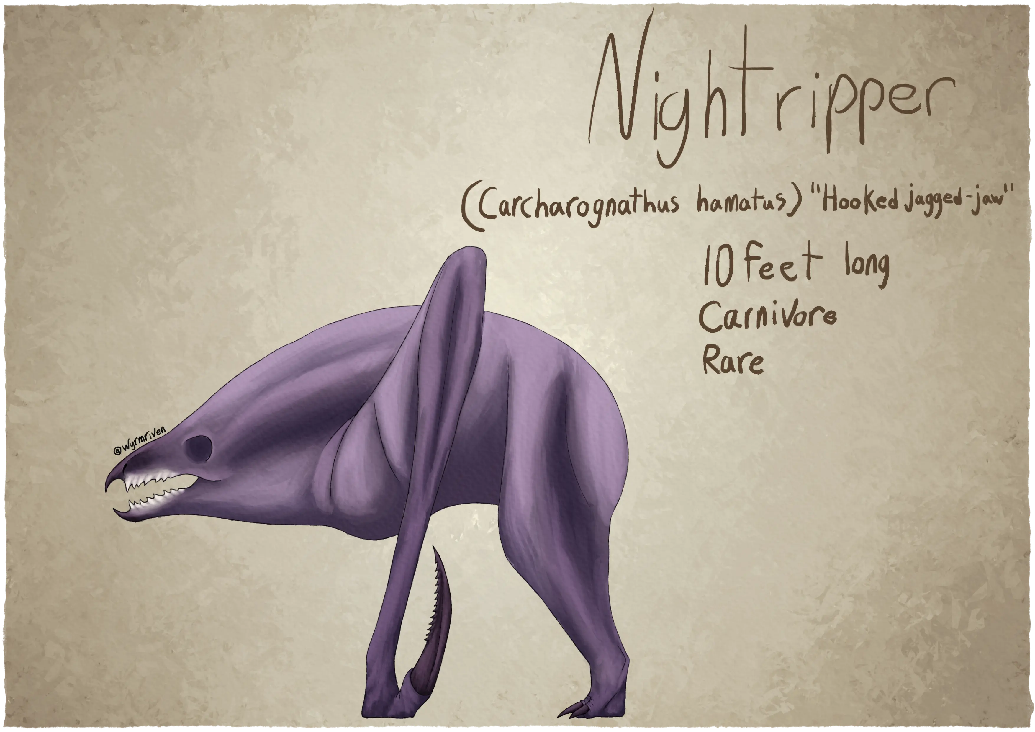 a drawing of a purple, quadrupedal creature that lacks a tail. It has dark, pointed horns at the end of its upper and lower jaw, and the edges of its beak are jagged and off-white in color, it also has dark, empty eye sockets. Its front legs are long and thin, ending in a large, serrated talon. Its hind legs are thicker and end in two small claws. On the right of the dragon are its names and information, reading 'Nightripper', '(Carcharognathus hamatus) 'Hooked Jagged-jaw'', '10 feet long', 'Carnivore', and 'Rare'.
