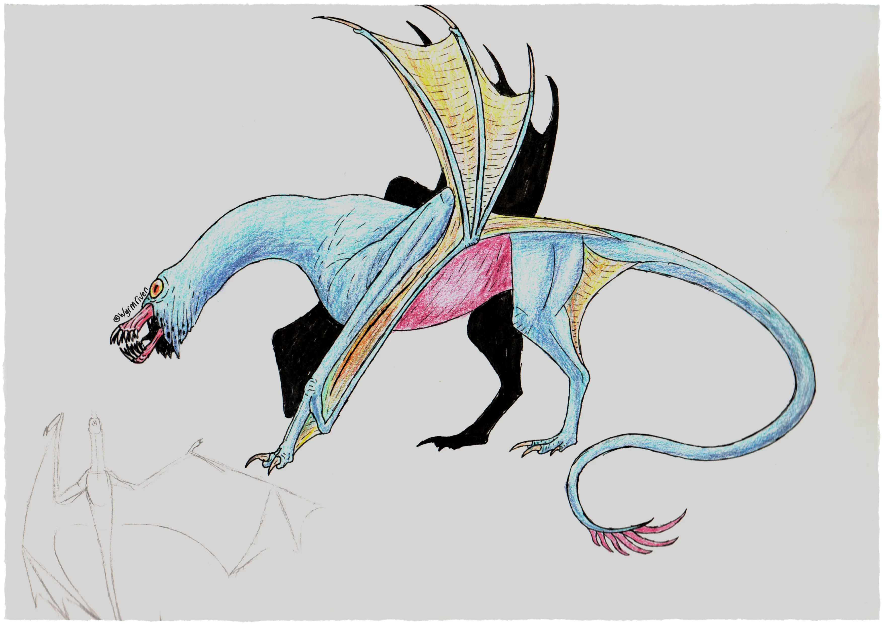 a scan of a traditionally-drawn quadrupedal wyvern. It has a single orange eye and toothy, lipless jaws, ragged blue skin hangs over them. Its front limbs are long, ending in two fingers alongside its three-forked wing-finger, the membranes are mostly yellow in color, with some orange and blue near the base. Its torso is bright pink, though the rest of its skin is blue. Its hind legs have a yellow membrane connecting to the tail and end in three visible toes. Its tail is long and thin, ending in pinkish tendrils.