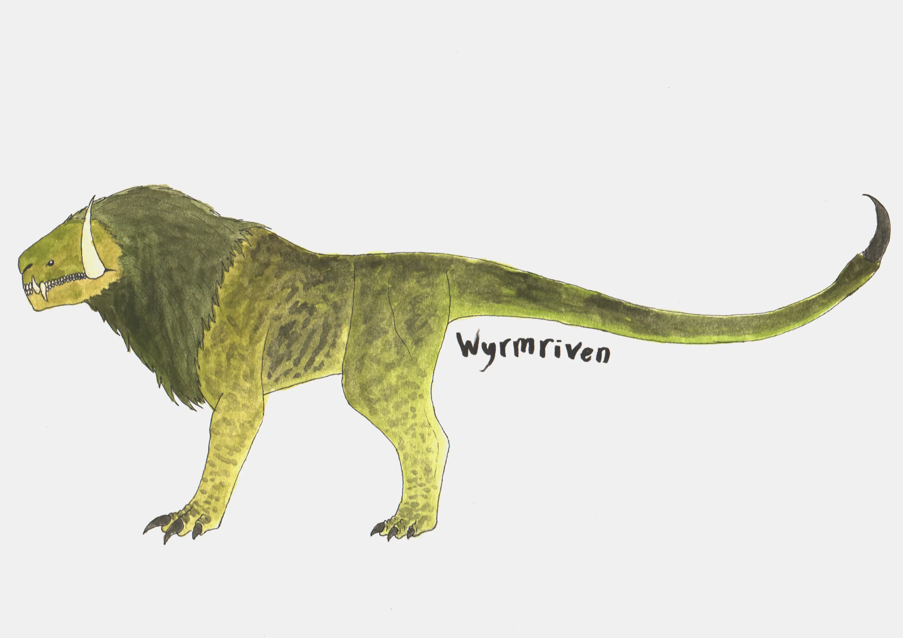 a watercolor painting of a yellowish green, lion-like monster. It has beady black eyes, many teeth, a pair of large tusks, and a long. rectangular head. Its mane is a darker green and its body has dark markings scattered across it. Both its front and hind limbs are stocky, three claws are visible on both pairs. Its tail is very long and becomes dark at the tip, it ends in a sharp stinger.