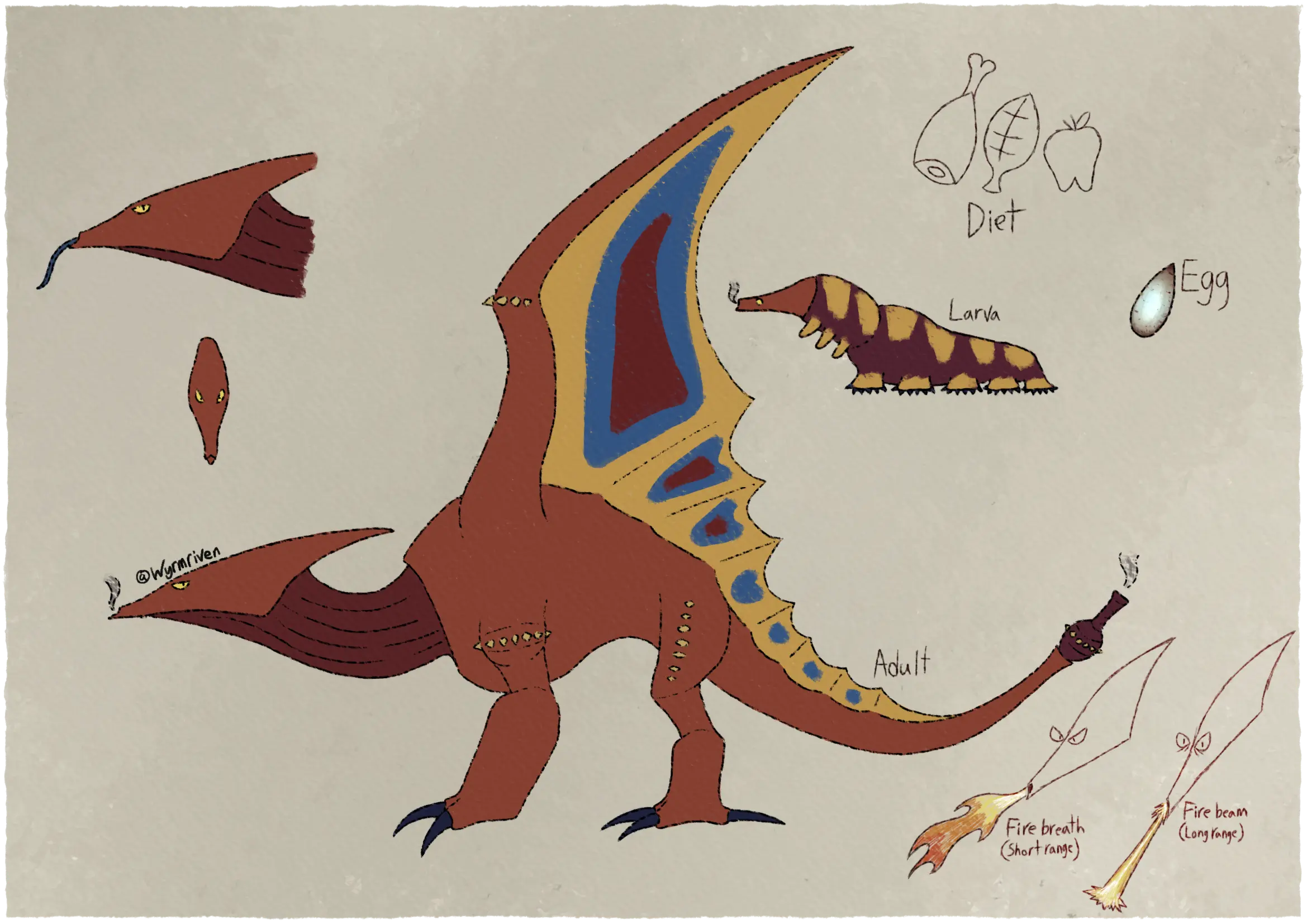 a sheet depicting an orange dragon and its growth stages. The adult dragon has an angular, orange, bellows-like head with a smoke plume coming out of its mouth and a sharp crest on the back, while the neck is a darker red. It leads into an orange body with four legs and two wings, it also has a row of yellow spikes on its shoulders, wing knuckles, and thighs. Its front legs are wider at the lower arm and end in long, sharp claws, the hind legs are widest at the lower leg above the foot and also end in long, sharp claws. The wing membrane is mostly yellow with a blue marking in between each spine, the three largest blue markings are red in the center. The membrane ends midway down the tail, the tail ends in a dark, round reddish structure which is also ringed with yellow spikes, a tube extends from the tip and smoke is coming out of it. The dragon's larva is mostly a dark reddish purple in color, though it also has yellow splotches on its back and legs. The front three pairs of legs are small, nubby, and held off the ground, while the back five pairs are firmly planted and are much wider. Its facial shield is tube-shaped and has a pair of yellow eyes, a smoke plume is coming out from the end. The egg is sharp at the tip and is dark red on the edges and a bright white in the center, giving it the appearance of being very hot. To the left of the dragon is a side profile of the dragon's head with its tongue out, it is long and dark blue. Just below it is a frontal view of the dragon's head. On the lower right corner are two sketches of the dragon breathing fire, the first one is labeled 'Fire breath (short range)' and depicts it breathing a basic plume of fire, the second one is labeled 'Fire beam (long range)' and depicts it firing a beam of flame. On the upper right corner are three sketches labeled 'Diet', they are a cartoon hunk of meat, a leaf, and an apple.